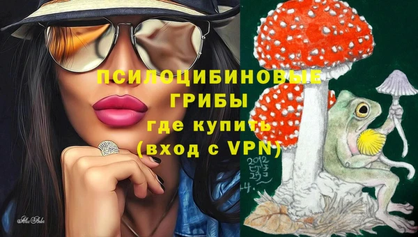 ГАЛЛЮЦИНОГЕННЫЕ ГРИБЫ Киренск