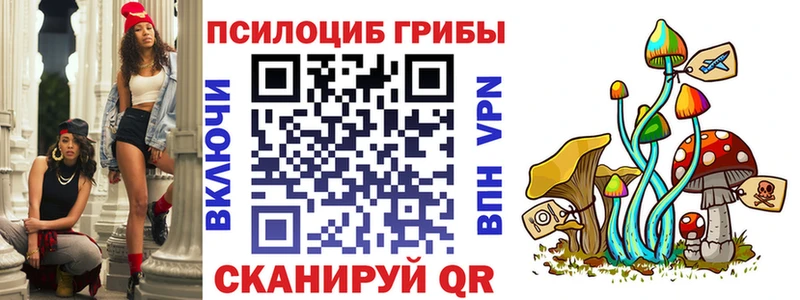 Купить  Шахунья  Галлюциногенные грибы GOLDEN TEACHER 